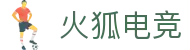 火狐电竞·(中国区)电子竞技平台